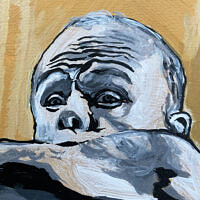 „Flying Flea” - obrazek 2